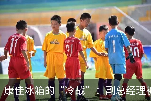 康佳冰箱的“冷战”：副总经理被查的背后故事